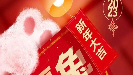 福兔蹦跳(tiào)迎新年|上(shàng)藥控股（湖(hú)南）祝大(dà)家(jiā)新年快樂，大(dà)展宏兔