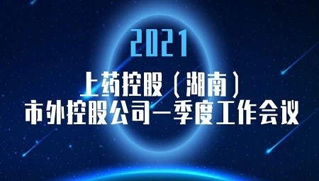 融合發展 蓄力前行(xíng) ——上(shàng)藥控股（湖(hú)南）市外控股公司一季度工作(zuò)會(huì)議